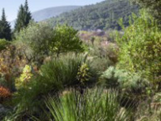 Jardin d'Elie Alexis